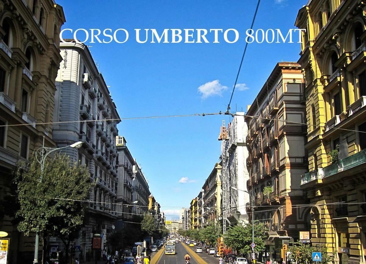 Tribunali 181